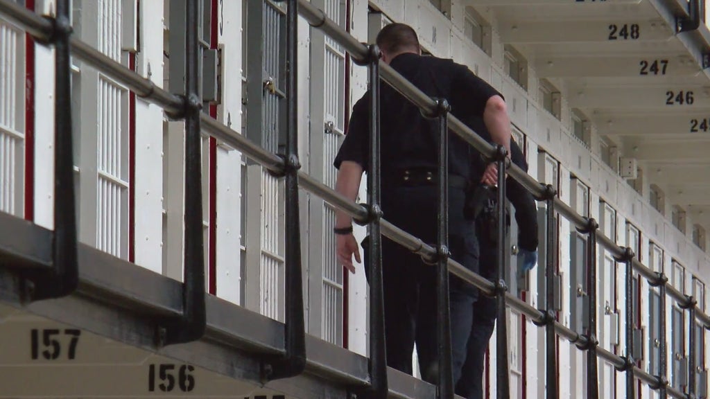 More than two dozen Georgia prisons on lockdown over security concerns following inmate fight — Brunswick Health news